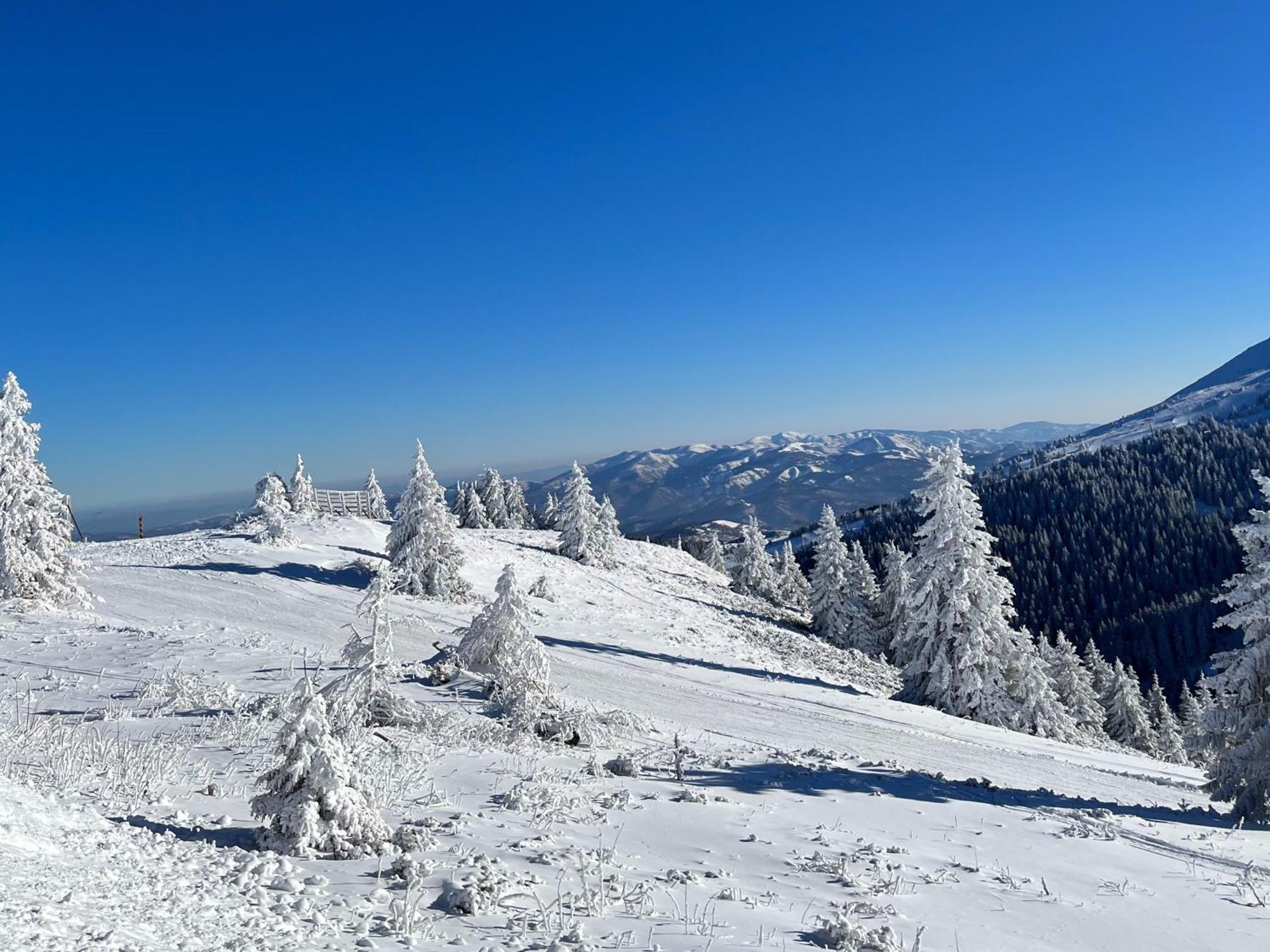 Hotel Junior Kopaonik Extérieur photo
